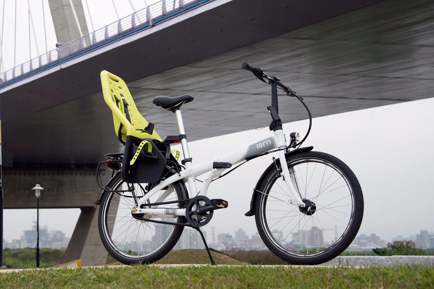 Cargo Rack