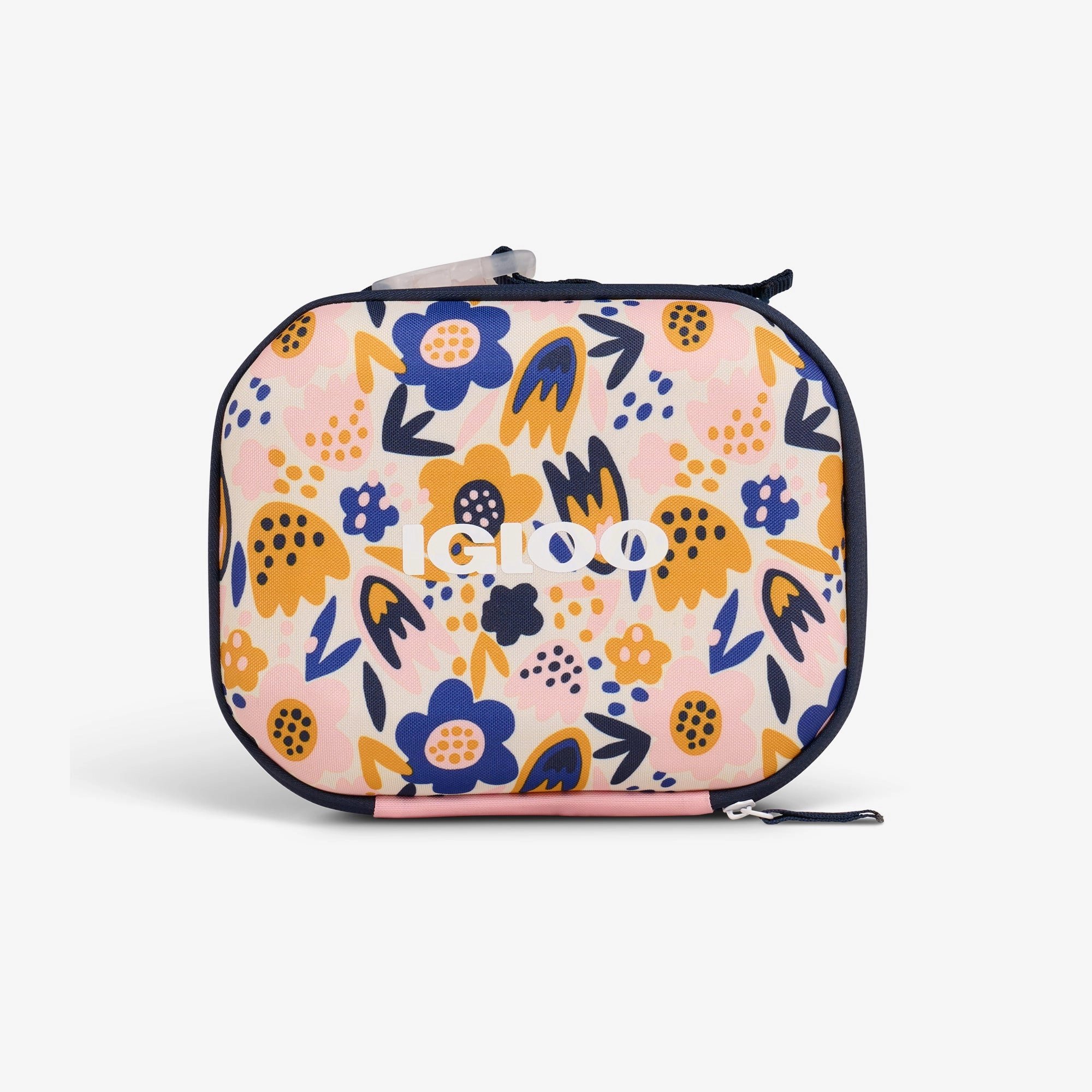 Kids Mini Modern Lunch