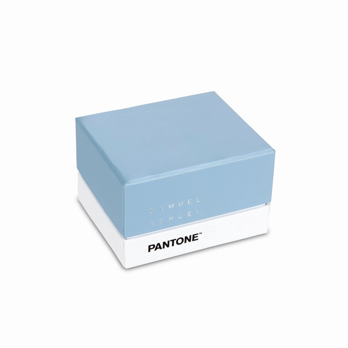Samuel Ashley x Pantone Leather Key Chain Pouch